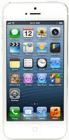 Смартфон Apple iPhone 5 32Gb White & Silver - Котово