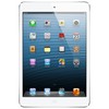 Apple iPad mini 16Gb Wi-Fi + Cellular белый - Котово