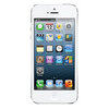 Apple iPhone 5 16Gb white - Котово