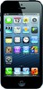 Apple iPhone 5 16GB - Котово